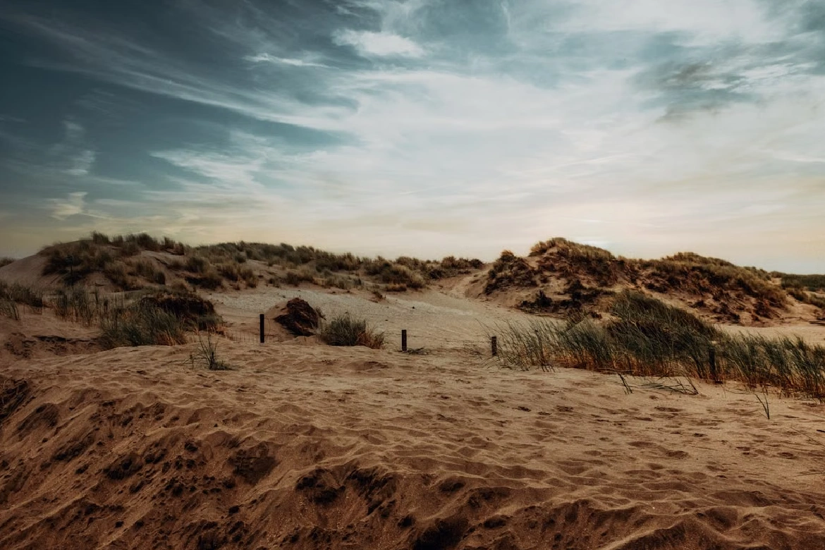 Wonen in 's-Gravenzande